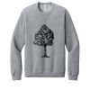 Unisex Sponge Fleece Raglan Sweatshirt Thumbnail