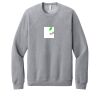 Unisex Sponge Fleece Raglan Sweatshirt Thumbnail