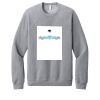 Unisex Sponge Fleece Raglan Sweatshirt Thumbnail