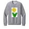 Unisex Sponge Fleece Raglan Sweatshirt Thumbnail