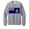 Unisex Sponge Fleece Raglan Sweatshirt Thumbnail