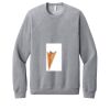 Unisex Sponge Fleece Raglan Sweatshirt Thumbnail