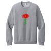 Unisex Sponge Fleece Raglan Sweatshirt Thumbnail