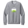 Unisex Sponge Fleece Raglan Sweatshirt Thumbnail