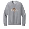 Unisex Sponge Fleece Raglan Sweatshirt Thumbnail