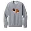 Unisex Sponge Fleece Raglan Sweatshirt Thumbnail