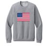 Unisex Sponge Fleece Raglan Sweatshirt Thumbnail
