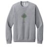 Unisex Sponge Fleece Raglan Sweatshirt Thumbnail