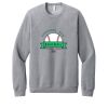 Unisex Sponge Fleece Raglan Sweatshirt Thumbnail
