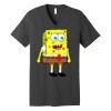 Unisex Jersey Short Sleeve V Neck Tee Thumbnail