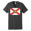 Unisex Jersey Short Sleeve V Neck Tee Thumbnail