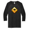 Unisex 3/4 Sleeve Baseball Tee Thumbnail
